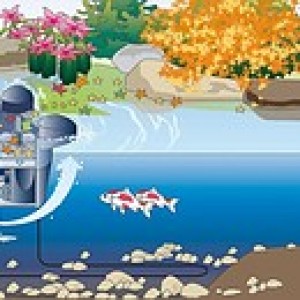 Skimmeris - aerators SWIMSKIM 25 Skimmeris - aerators SWIMSKIM 25
